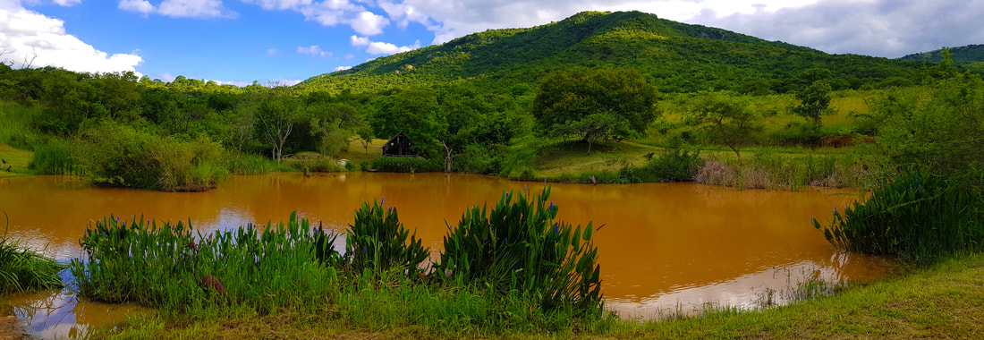 Wide Horizons Mountain Retreat Wildlife Estate and Nature Reserve Best Eswatini holiday destination